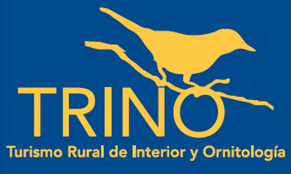 foto Trino